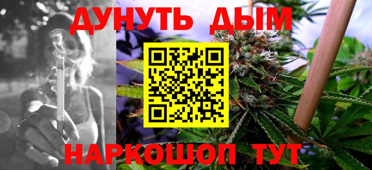 Каннабис сатива Печора
